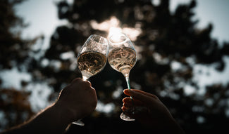 Comprendre le champagne, entre terroir et savoir-faire