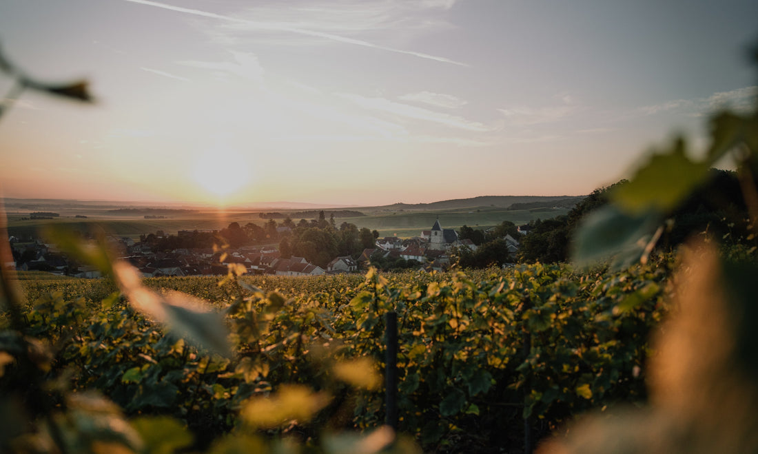 Le guide du champagne parfait pour tout comprendre