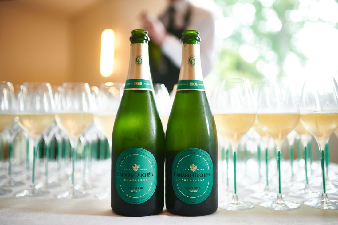 Quel verre pour déguster du Champagne ? | Canard-Duchêne